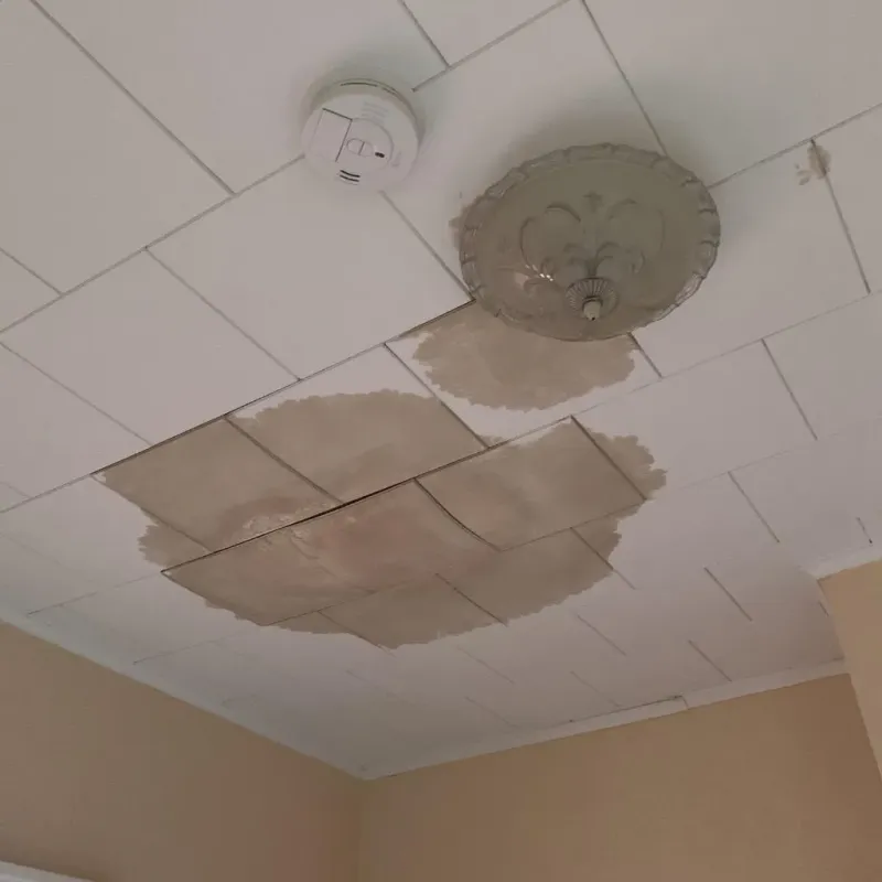 Ceiling Water Damage Repair in Glencoe, MN