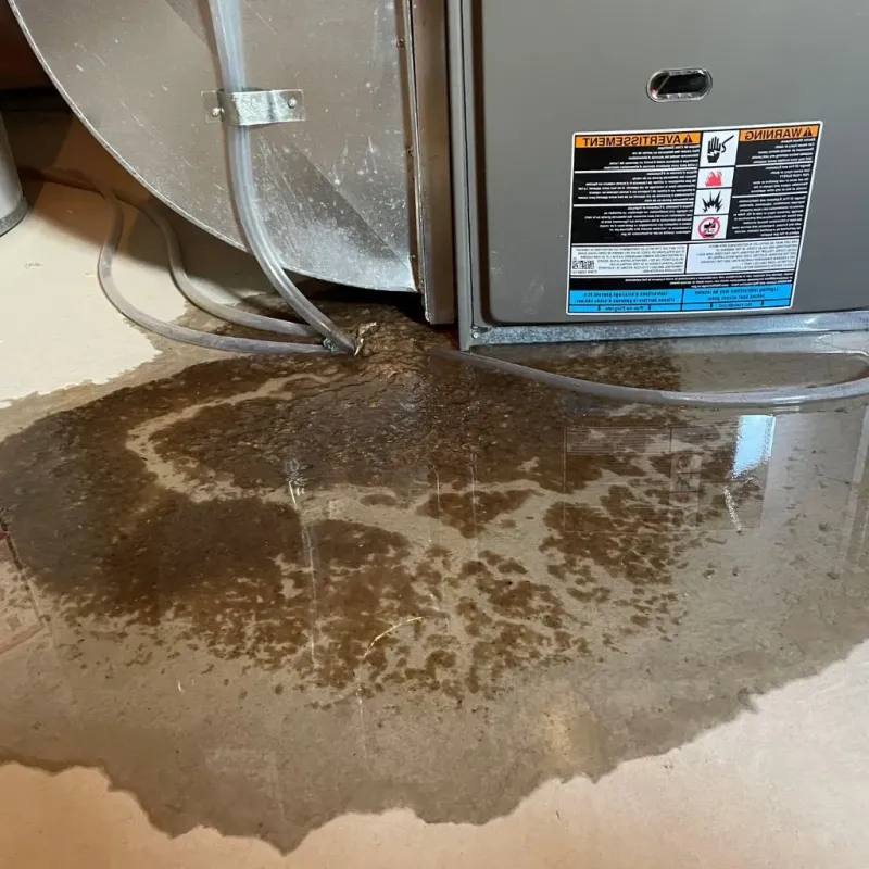Pipe Burst and Leak Restoration in Glencoe, MN
