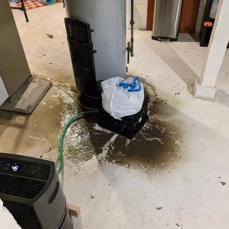 Sewage Backup Cleanup Service in Glencoe, MN